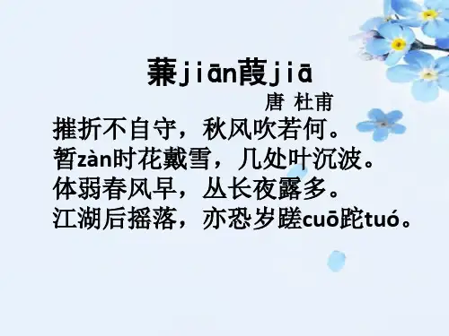 蒹葭_诗词赏析_唐_杜甫