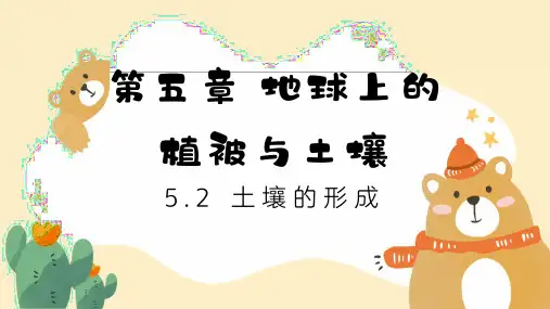 土壤的形成(教学课件)高中地理湘教版(2019)必修一