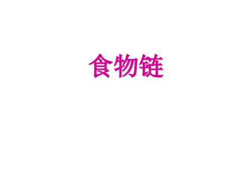五年级上册科学课件-1.5 食物链和食物网-食物链｜教科版(共12张PPT)