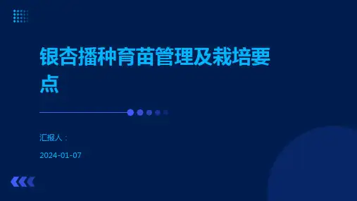 银杏播种育苗管理及栽培要点