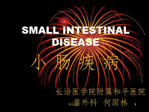 《小肠疾病》PPT课件 (2)