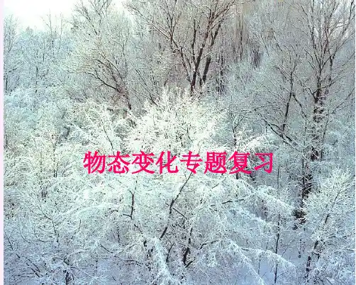 第三章物态变化 复习课件 (共35张PPT) 人教版 八年级上册