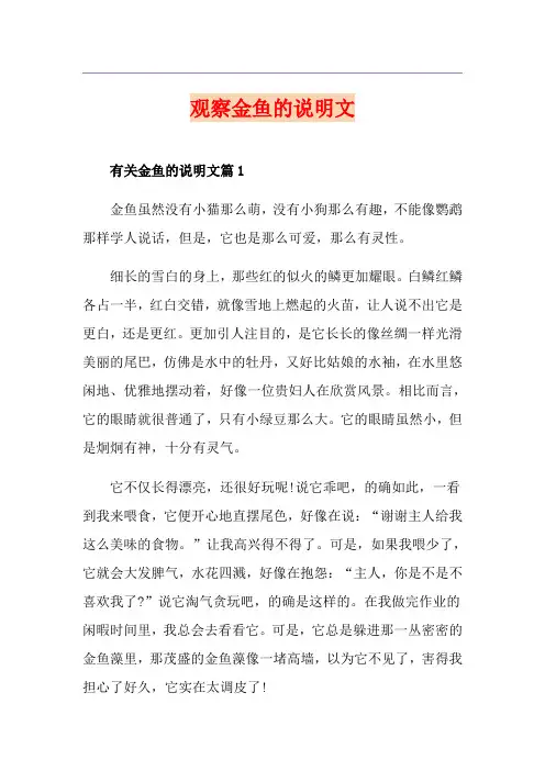 观察金鱼的说明文