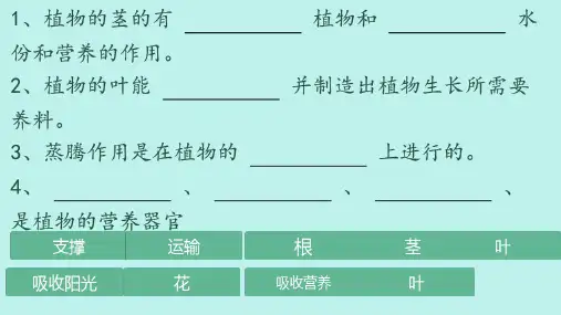 教科版科学四年级下册5.凤仙花开花了 (课件)(共16张PPT视频)