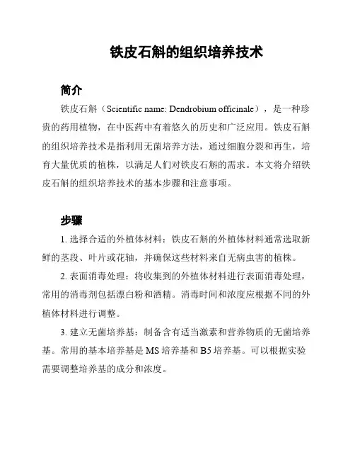 铁皮石斛的组织培养技术