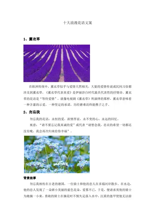 十大浪漫花语文案