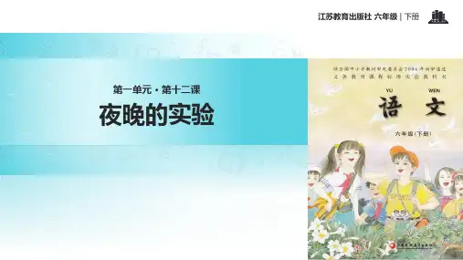 夜晚的实验  PPT课件