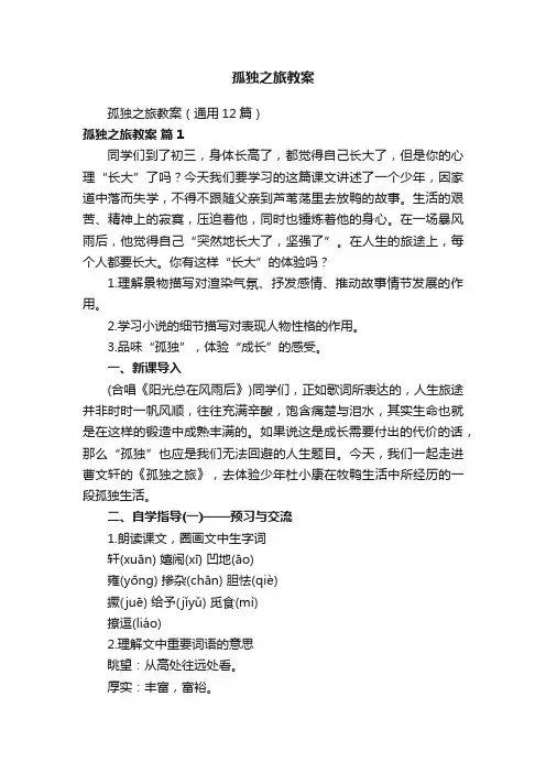 孤独之旅教案