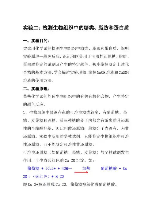 实验二：检测生物组织中的糖类、脂肪和蛋白质