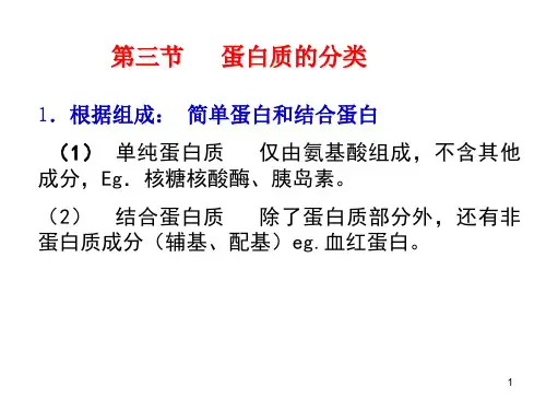 蛋白质的结构