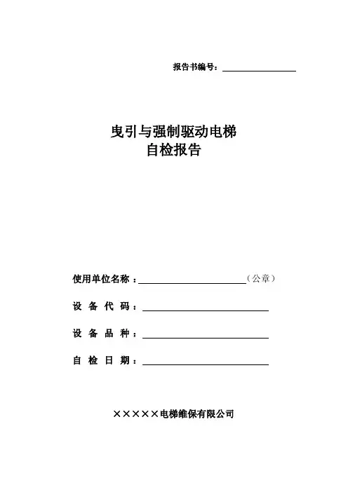 2017直梯自检报告模板