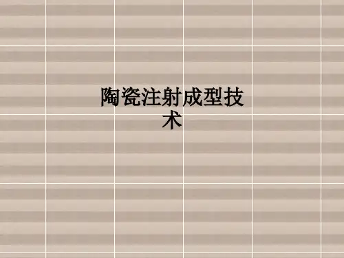 陶瓷注射成型技术ppt课件