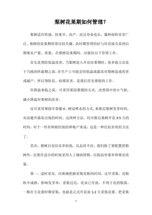 梨树花果期如何管理？
