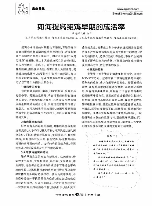 如何提高雏鸡早期的成活率