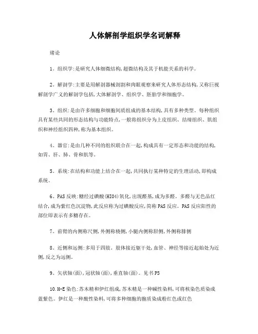 人体组织学与解剖学名词解释