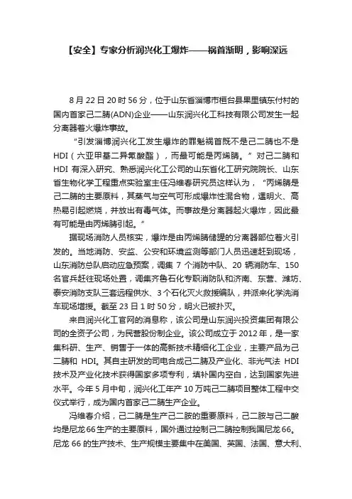 【安全】专家分析润兴化工爆炸——祸首渐明，影响深远