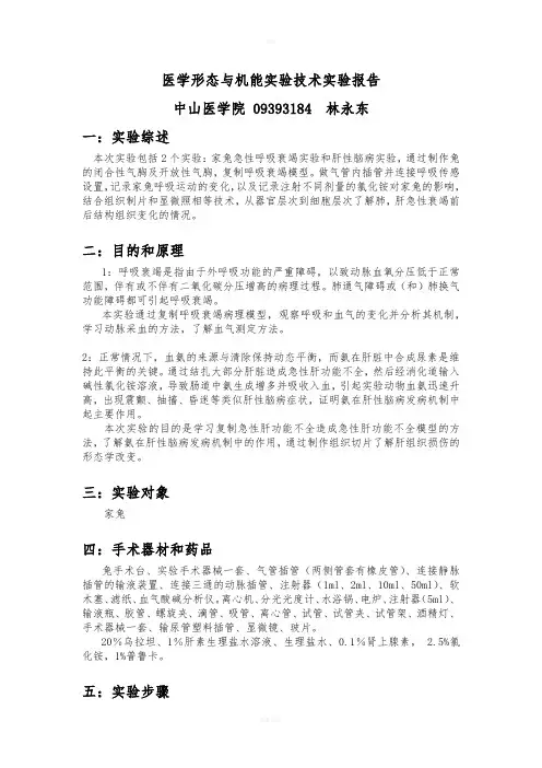 生理实验家兔呼吸衰竭和肝性脑病实验报告