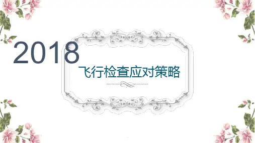 2018飞行检查培训ppt课件