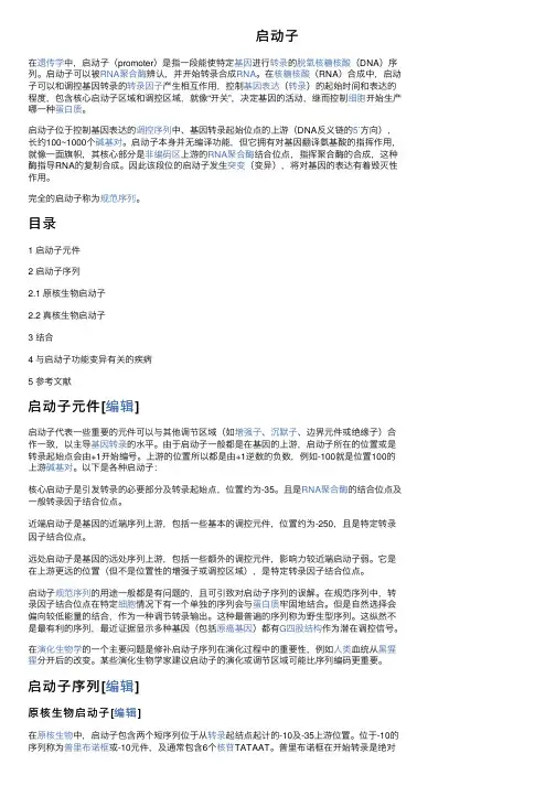 启动子——精选推荐