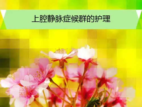上腔静脉症候群的护理ppt课件