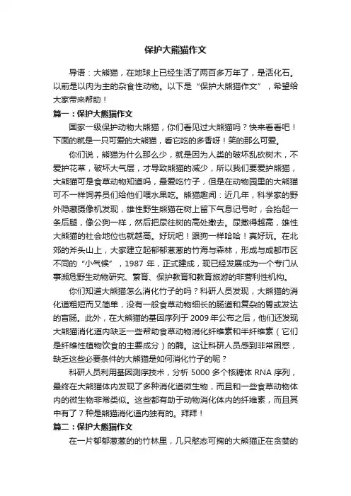 保护大熊猫作文500字