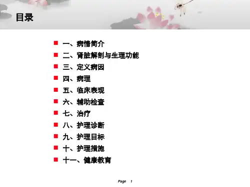 肾上腺肿瘤患者护理ppt课件