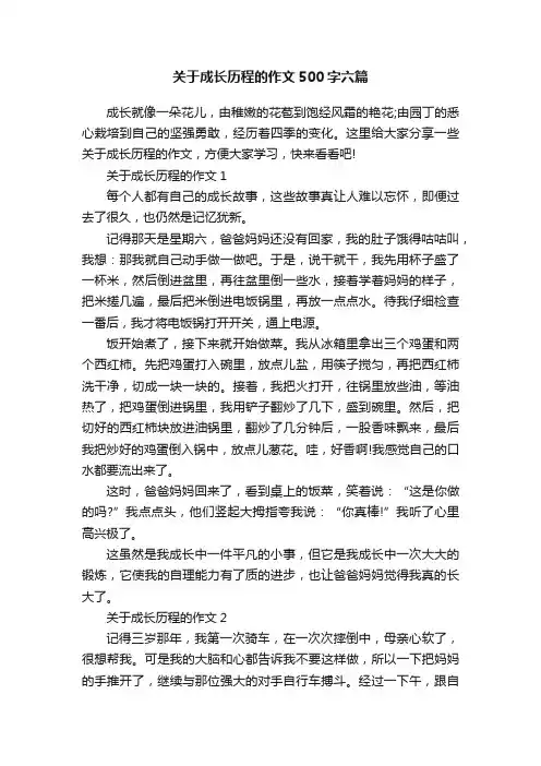 关于成长历程的作文500字六篇