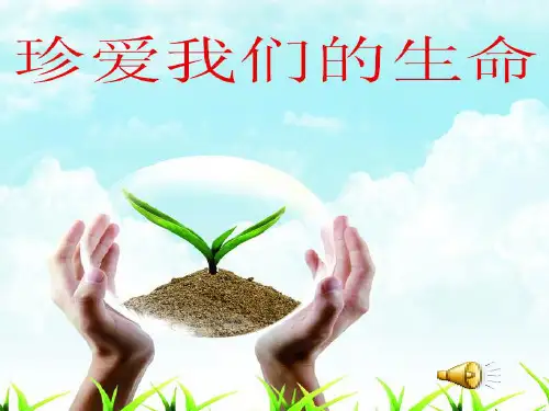 初中心理健康教育课件《珍爱我们的生命》