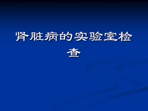 肾脏病的实验室检查ppt课件