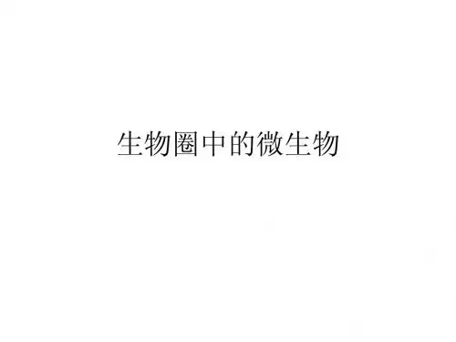 生物圈中的微生物复习