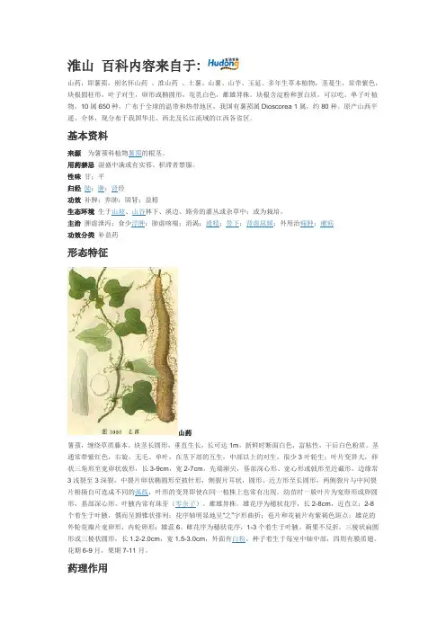 淮山高产量种植技术