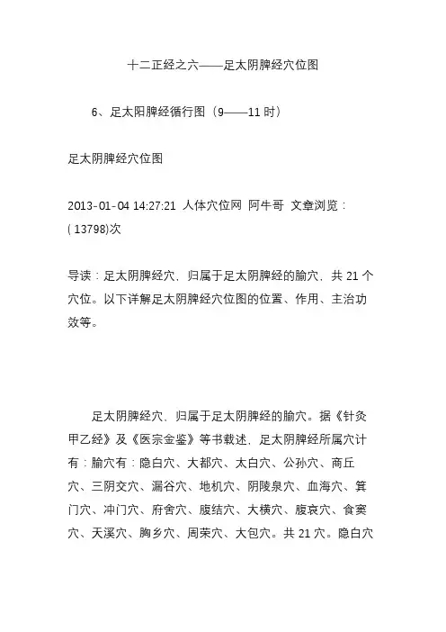 十二正经之六足太阴脾经穴位图