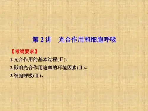 高考生物大二轮专题复习与增分策略(构建网络+突破考点+巩固提升,以2013年高考试题为例) 专题二 第2讲光