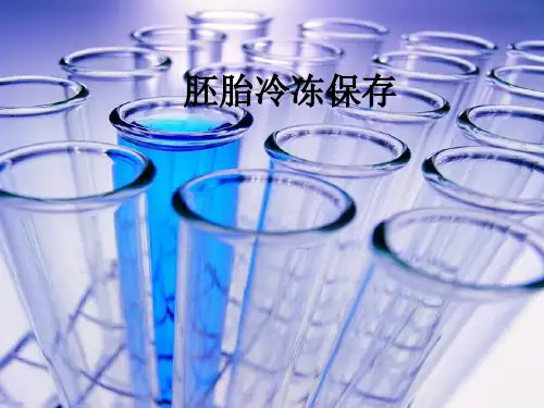 胚胎冷冻保存ppt课件