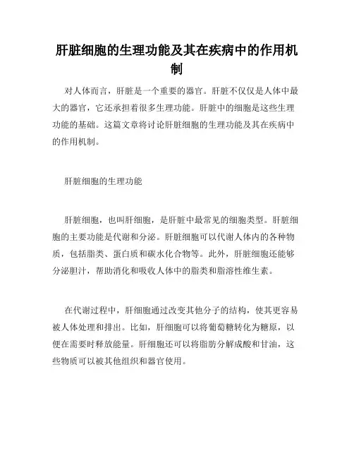 肝脏细胞的生理功能及其在疾病中的作用机制