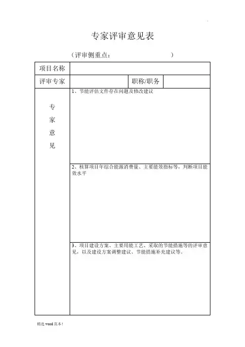 专家评审意见表
