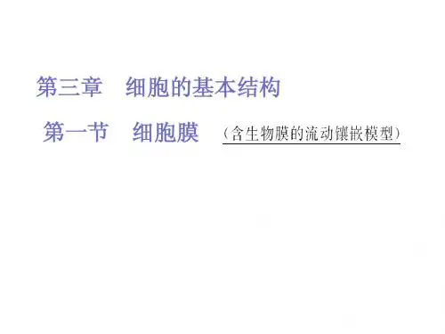 2014届高考生物一轮复习课件： 细胞膜(含生物膜的流动镶嵌模型)
