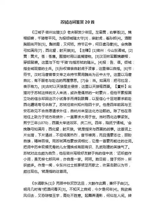 苏轼诗词鉴赏20首