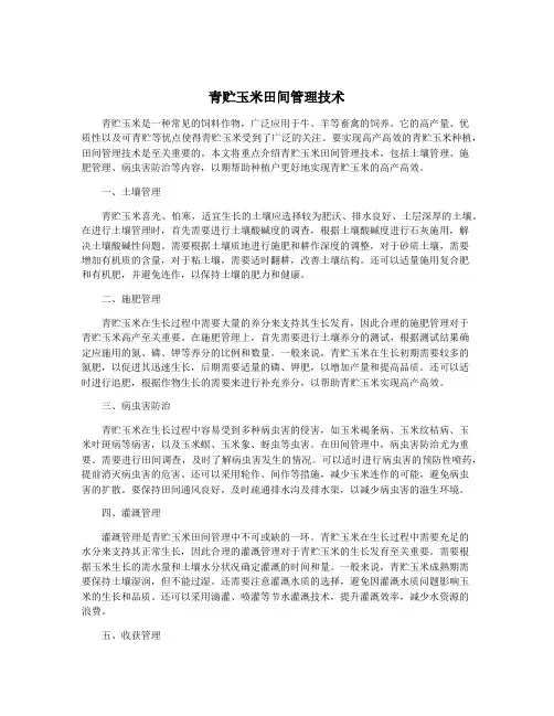 青贮玉米田间管理技术
