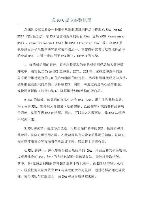 总RNA提取实验原理