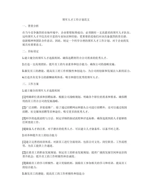 领军人才工作计划范文