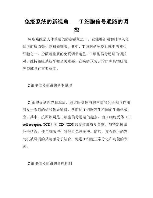 免疫系统的新视角——T细胞信号通路的调控