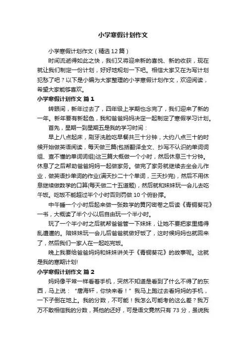 小学寒假计划作文