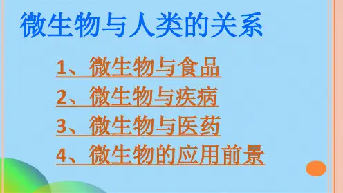 微生物与人类的关系(共29张PPT)