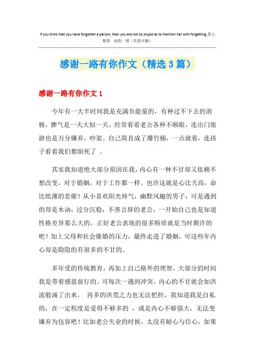 感谢一路有你作文(精选3篇)