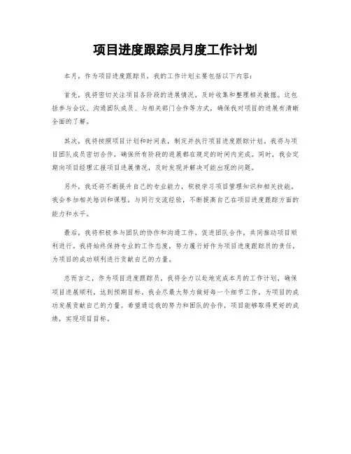 项目进度跟踪员月度工作计划