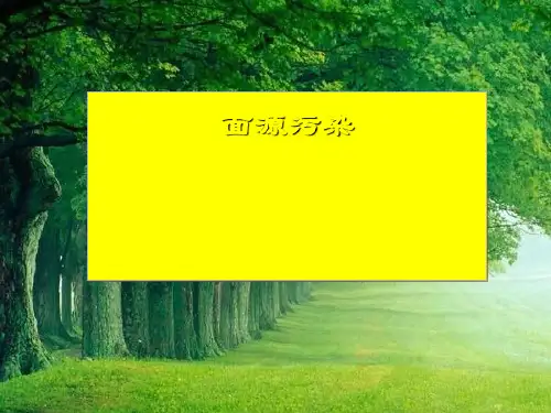 农业面源污染概述PPT(共 91张)