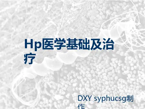 Hp医学基础及有效治疗PPT课件