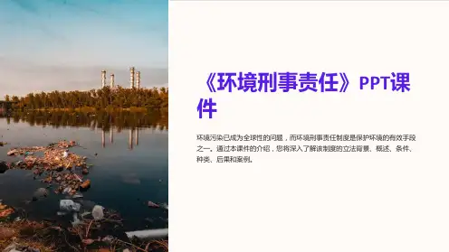 《环境刑事责任》课件