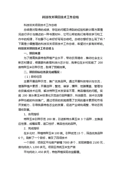 科技攻关项目技术工作总结
